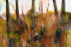 woodbury landscape 2 - spring 07