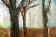 woodbury landscape 4 - spring 07