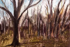 woodbury landscape 6 - spring 07