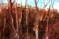 woodbury landscape 8 - spring 07