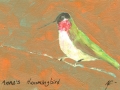 Anna 's Hummingbird