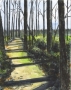 Trail-SBWetlands