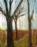 Woodbury CT Spring 4 2007 oil