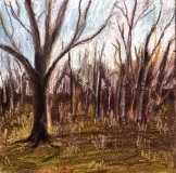 Woodbury CT Spring 6 2007 oil