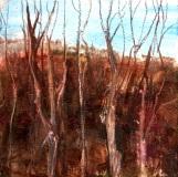 Woodbury CT Spring 8 2007 oil