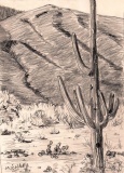 Along Bumble-Bee Road 2003 pencil