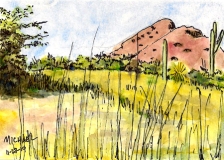 Phoenix Botanical Gardens View 1h2011 watercolor