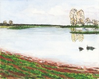 Ephemeral Pond Along Johnsons Landing Road 2018