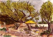 Late afternoon Scottsdale 2010 watercolor