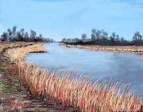 Rio Grande near Alamosa 2024