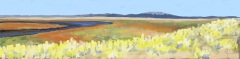 Sangre de Cristo Mtns from Alamosa National Wildlife Refuge 2019