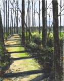 Smith & Bybee Wetlands Trail Portland OR 2018
