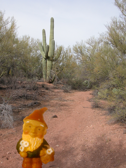 It’s nice to be back in the desert.