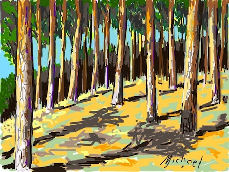 Forest near Kaiserslautern