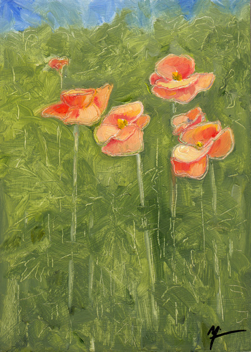 More poppies