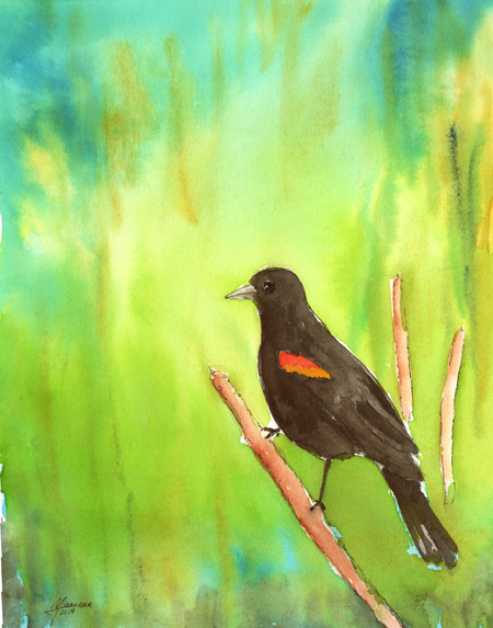 Red-wing Blackbird