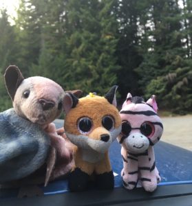 Stuffed animals in forest