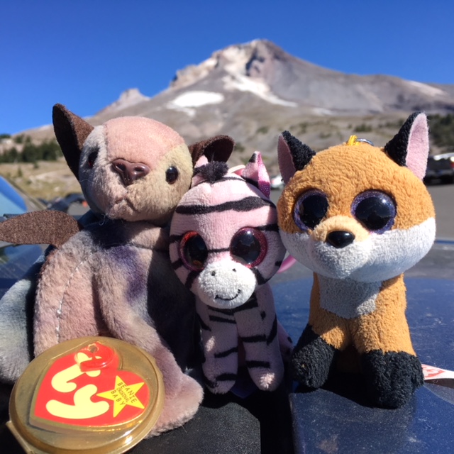 Stuffed animals with Mt Hood in the background.