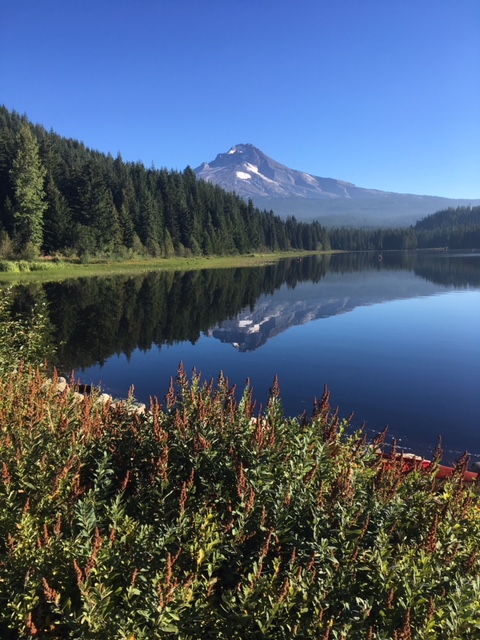 Mt. Hood from Trillium Lake.