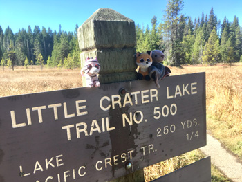 Trailhead sign to Little Crater Lake.