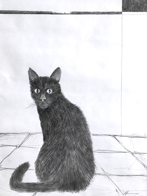 Pastel drawing of a black cat.