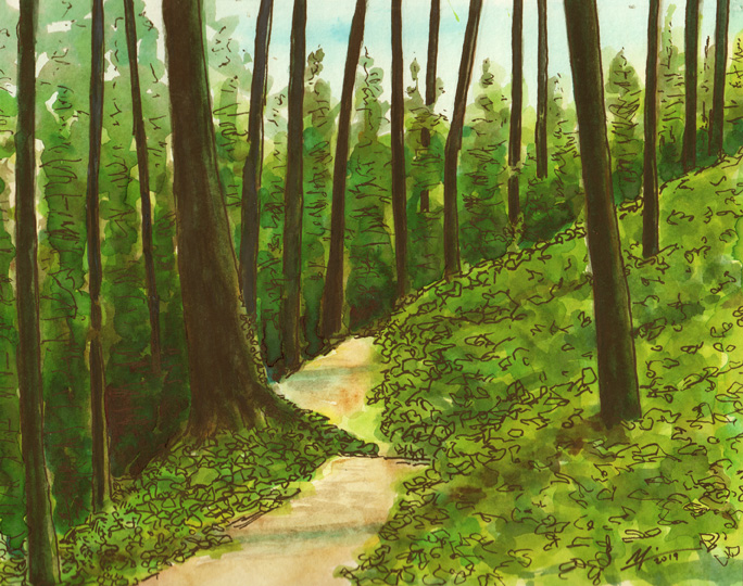 Watercolor of Ridge Trail. A path through trees.