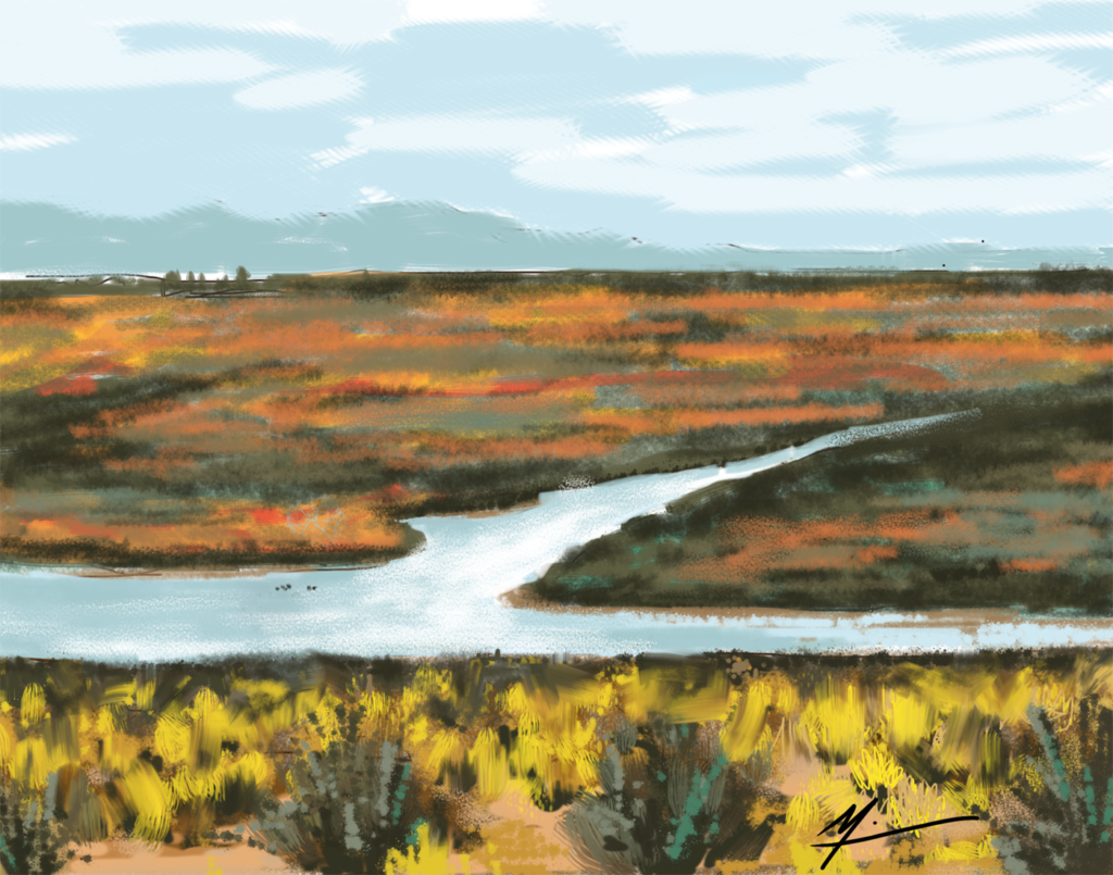 iPad drawing of Alamosa National Wildlife Refuge